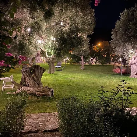 Suzi'nin Bahcesi Evler * ダッチャ