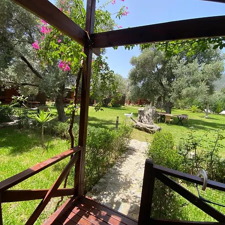 Suzi'nin Bahcesi Evler * ダッチャ