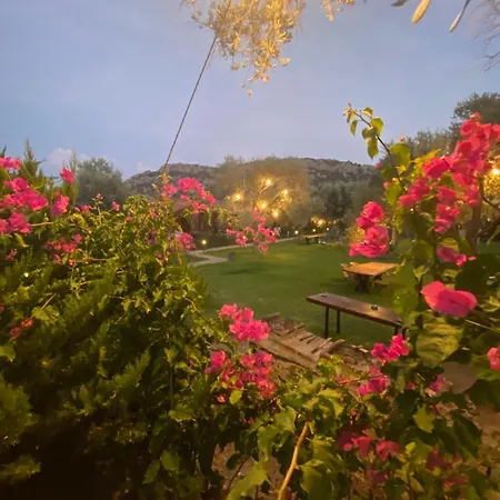 Apart-hotel Suzi'nin Bahçesi Evler