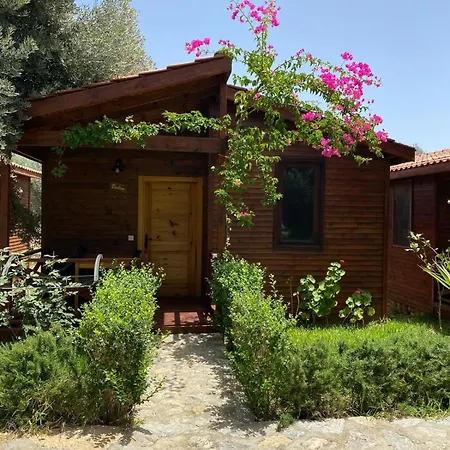 Apart Otel Suzi'nin Bahcesi Evler