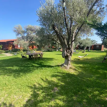 Suzi'nin Bahçesi Evler Datça