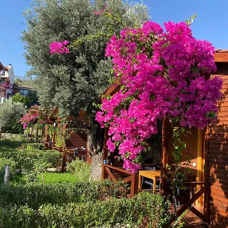 Apart-hotel Suzi'nin Bahçesi Evler Datça