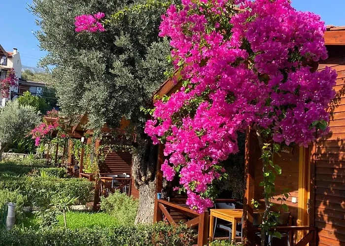 Apart-hotel Suzi'nin Bahçesi Evler Datça